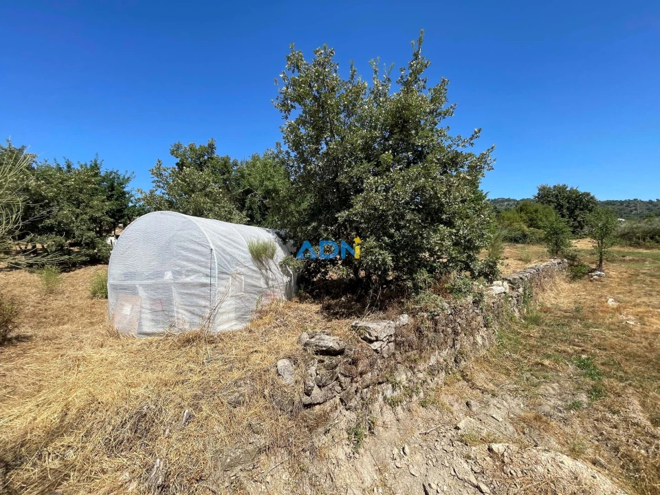 Terreno para Venda em Soalheira Foto 2