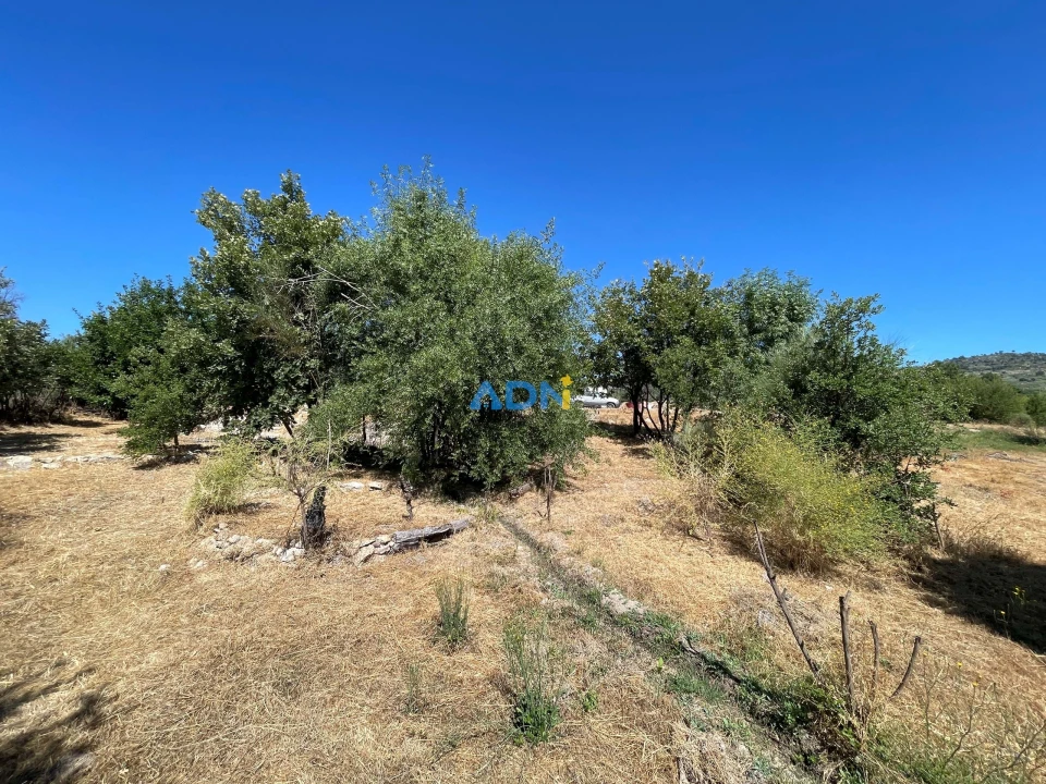 Terreno para Venda em Soalheira Foto 10