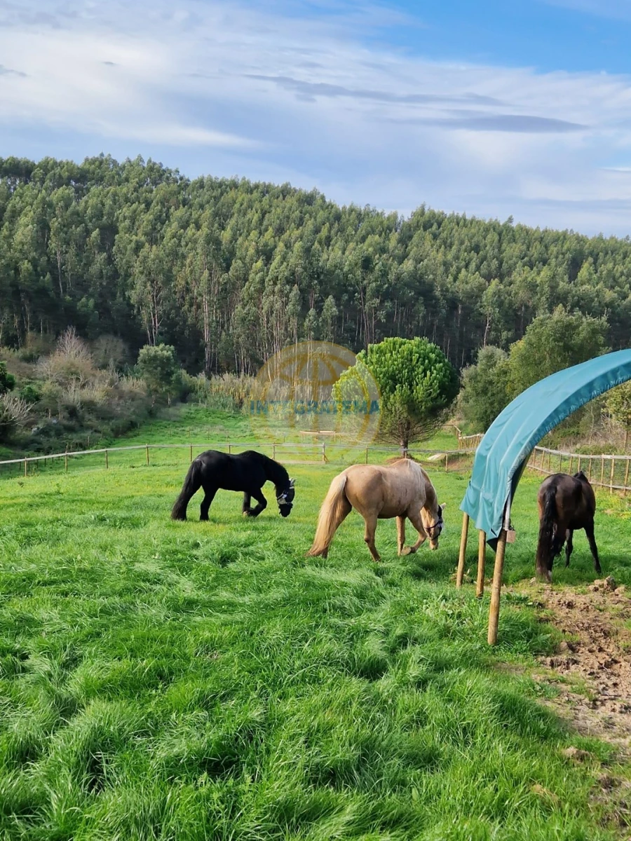 Moradia T5 para Venda em Bombarral e Vale Covo Foto 7