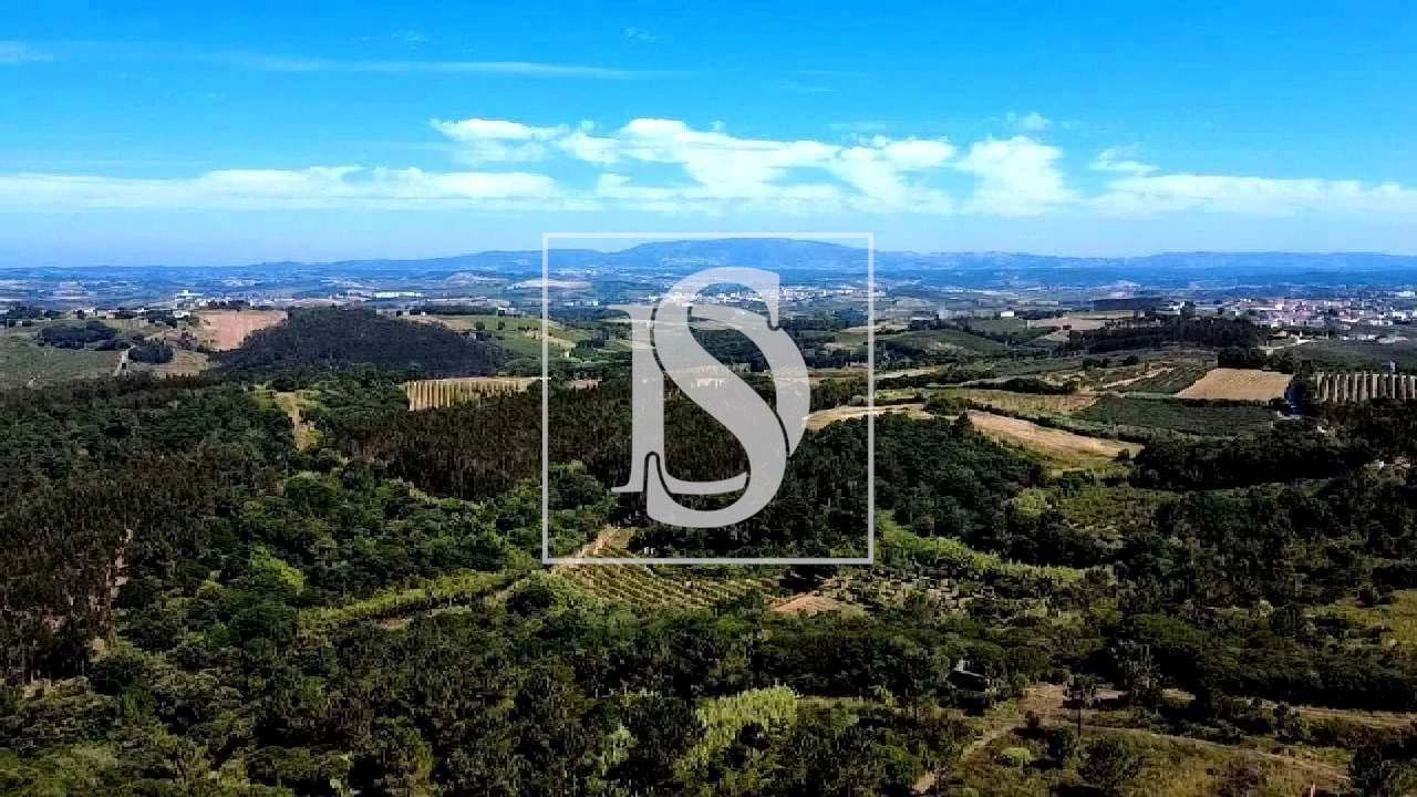 Moradia T4 para Venda em Roliça Foto 14