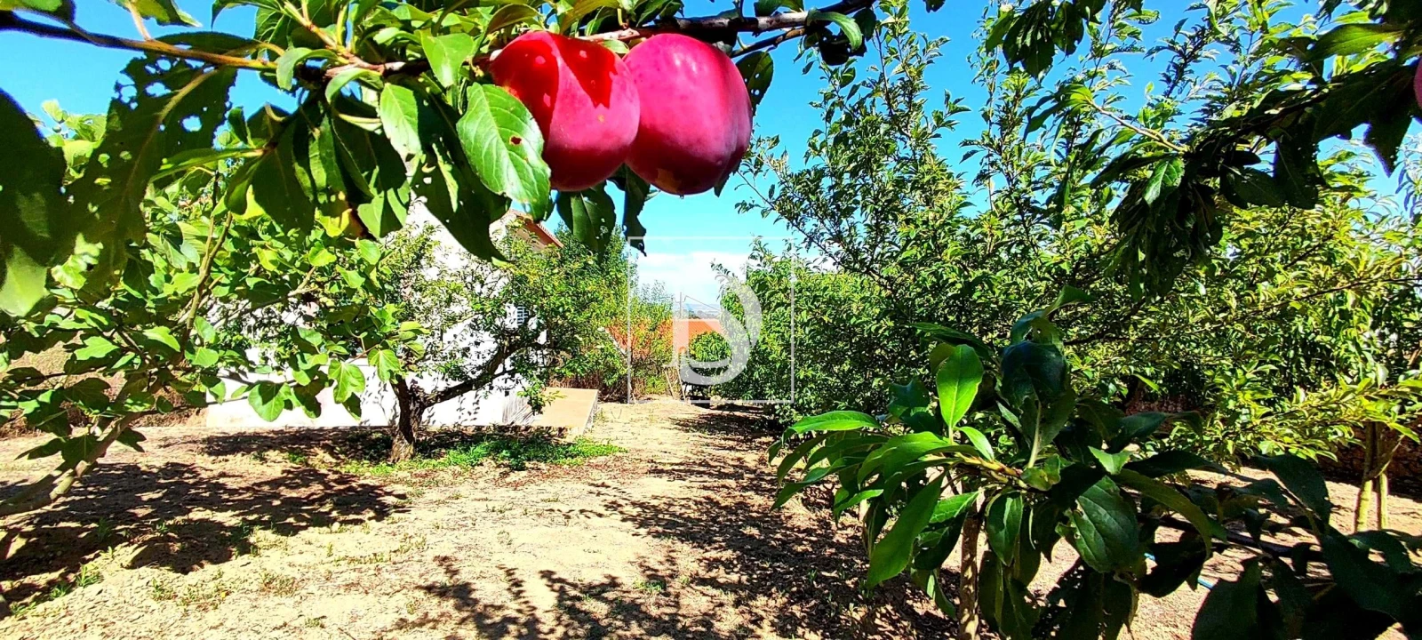 Moradia T4 para Venda em Roliça Foto 69