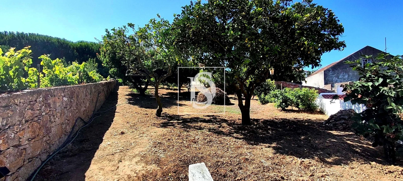 Moradia T4 para Venda em Roliça Foto 61