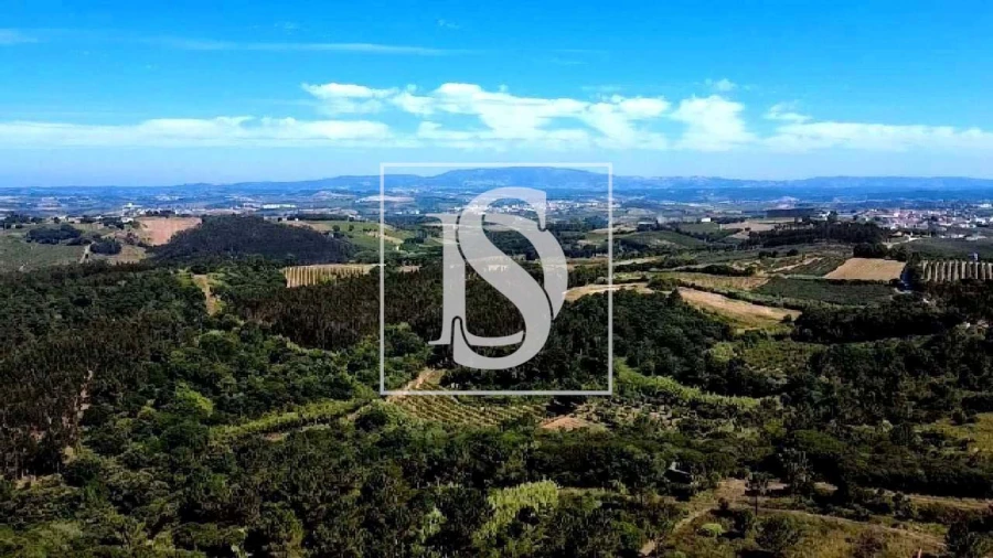 Moradia T4 para Venda em Roliça Foto 14