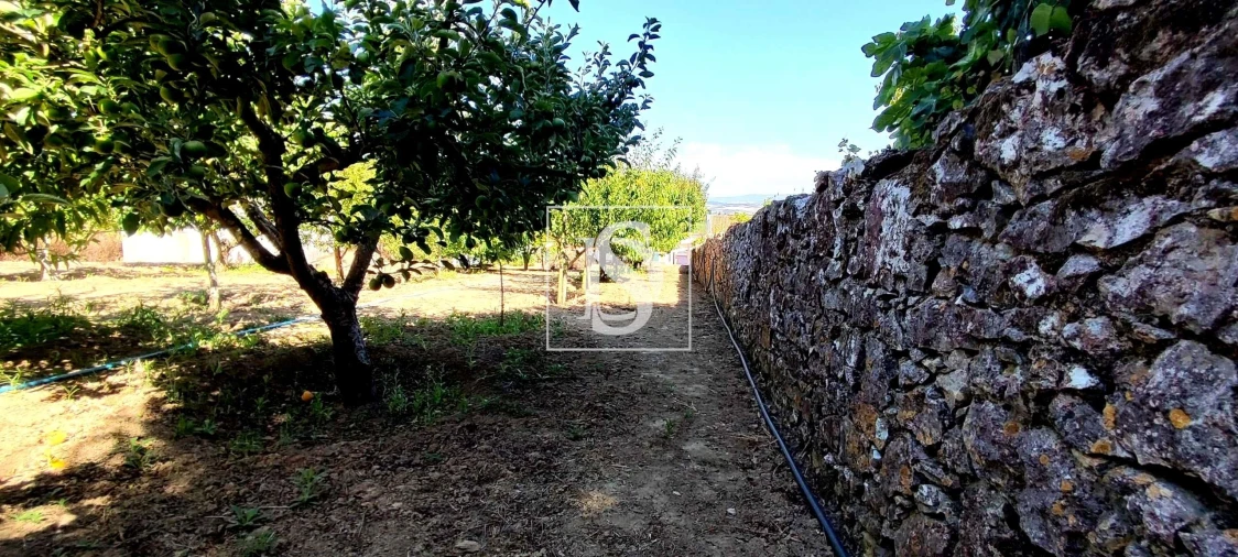 Moradia T4 para Venda em Roliça Foto 68