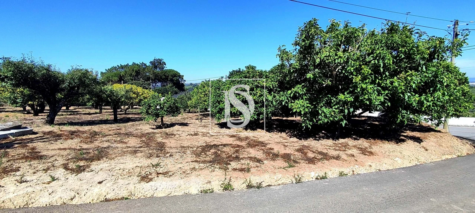 Moradia T4 para Venda em Roliça Foto 70