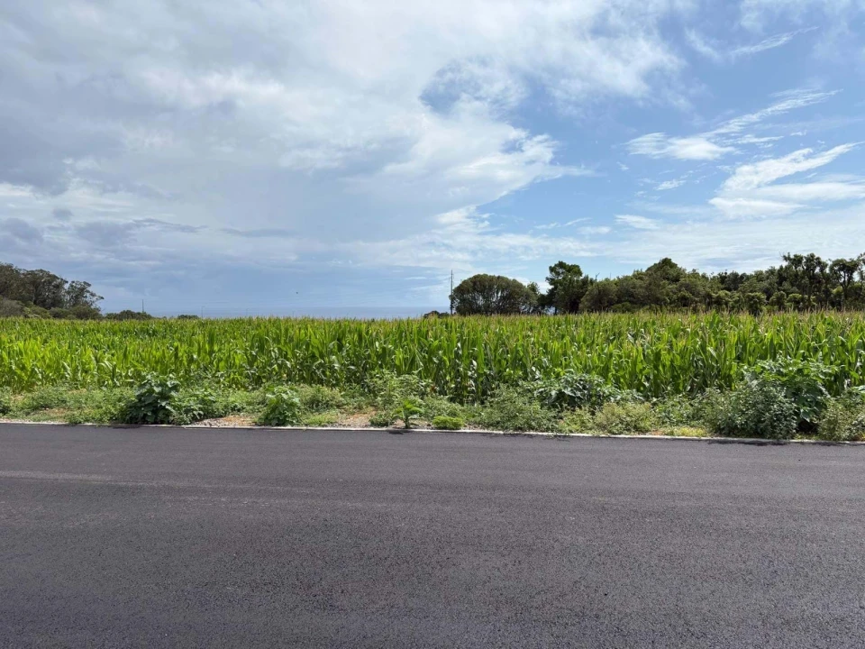 Terreno para Venda em Cabouco Foto 4