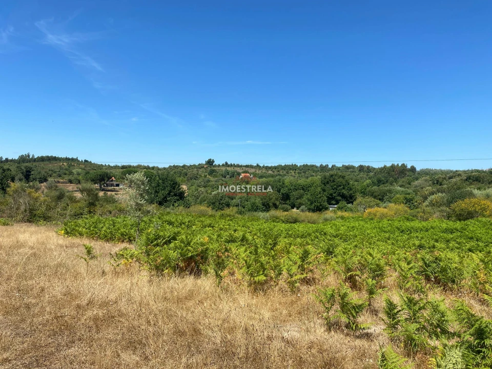 Quinta T0 para Venda em Torrozelo e Folhadosa Foto 6
