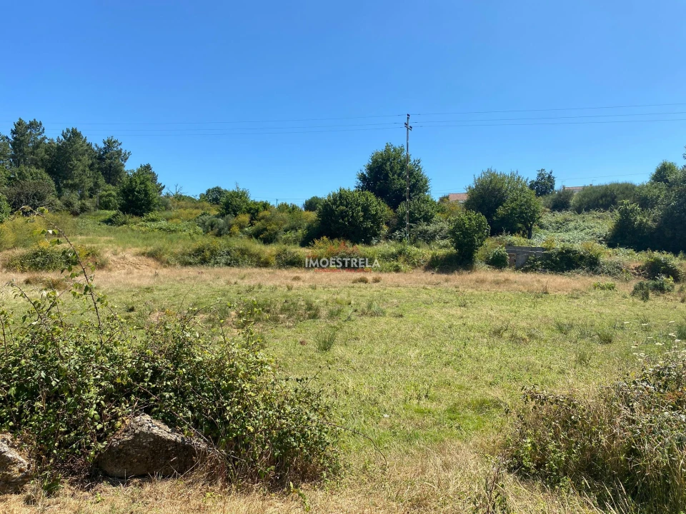 Quinta T0 para Venda em Torrozelo e Folhadosa Foto 8