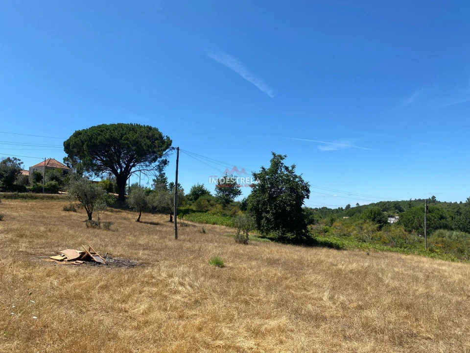 Quinta T0 para Venda em Torrozelo e Folhadosa Foto 2