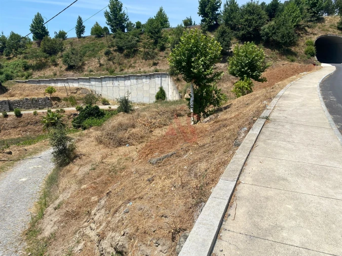 Terreno para Venda em Silvares, Pias, Nogueira e Alvarenga Foto 2
