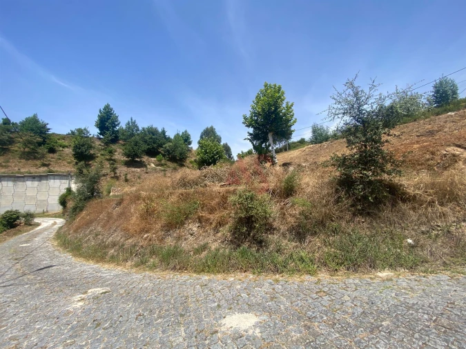 Terreno para Venda em Silvares, Pias, Nogueira e Alvarenga