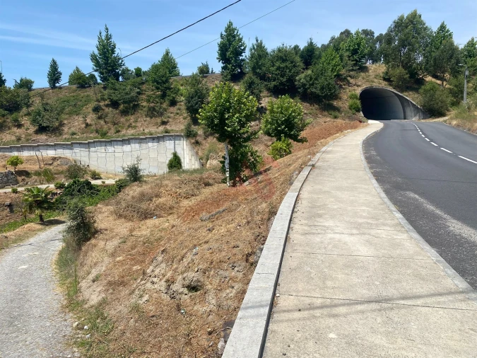 Terreno para Venda em Silvares, Pias, Nogueira e Alvarenga Foto 3