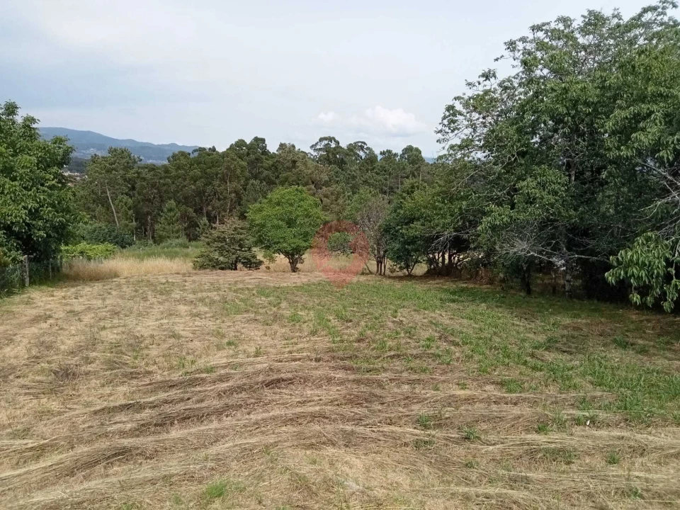 Terreno para Venda em Mazedo e Cortes Foto 3
