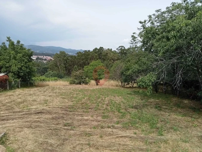 Terreno para Venda em Mazedo e Cortes Foto 2