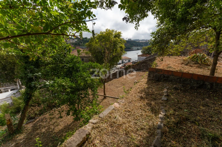 Terreno para Venda em Cedofeita, Santo Ildefonso, Sé, Miragaia, São Nicolau e Vitória Foto 15