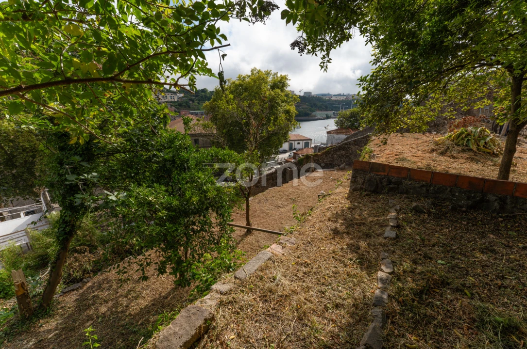 Terreno para Venda em Cedofeita, Santo Ildefonso, Sé, Miragaia, São Nicolau e Vitória Foto 15