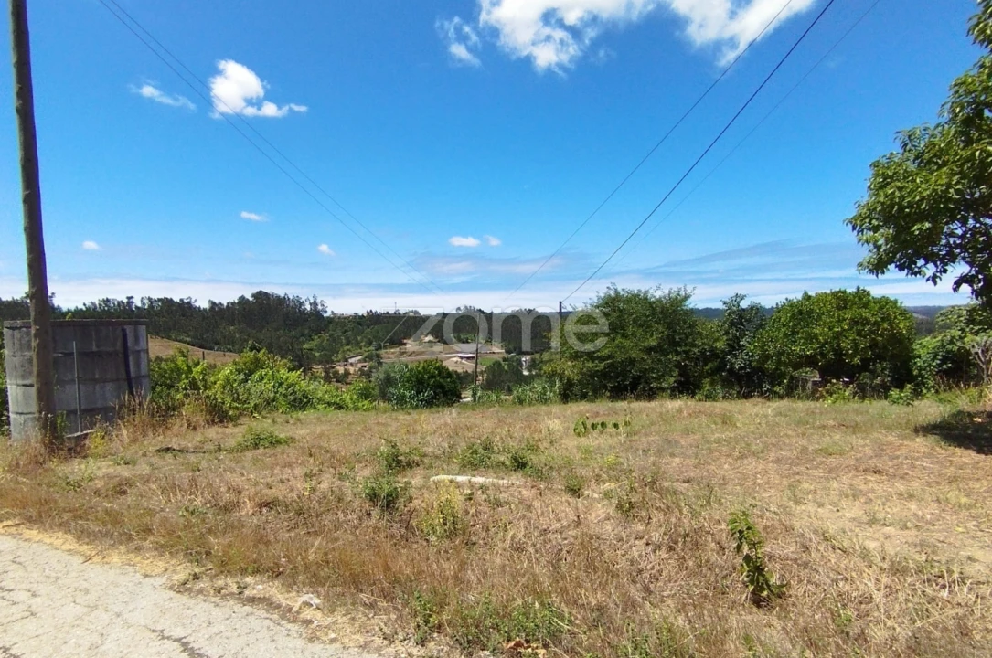 Terreno para Venda em Almagreira Foto 18