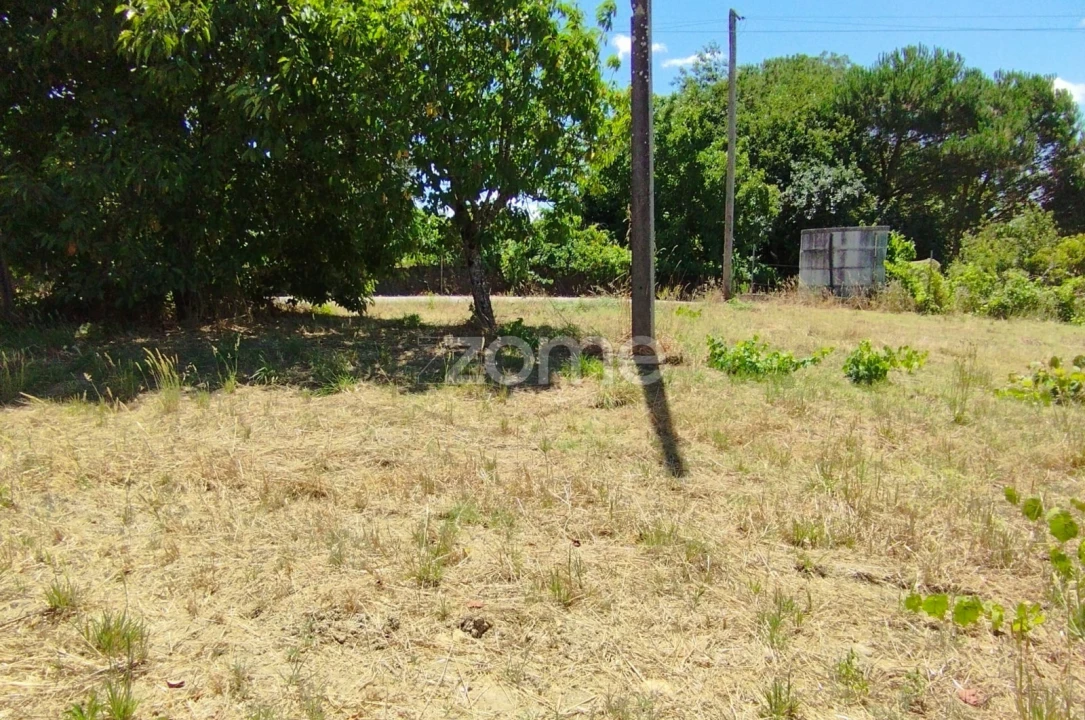 Terreno para Venda em Almagreira Foto 13