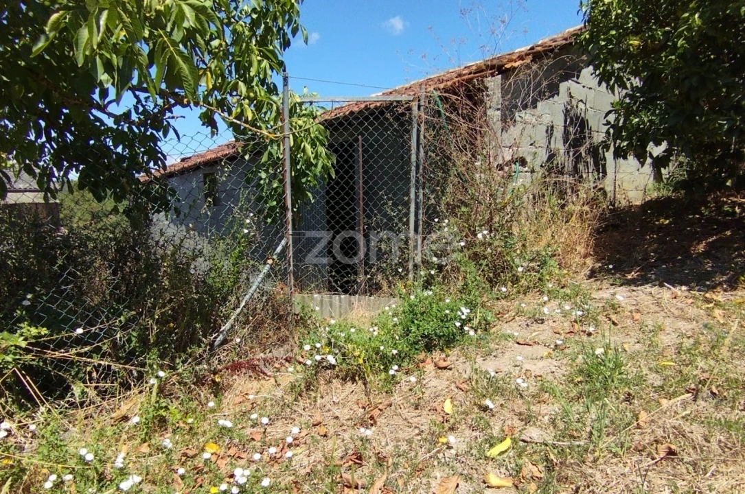 Terreno para Venda em Almagreira Foto 9