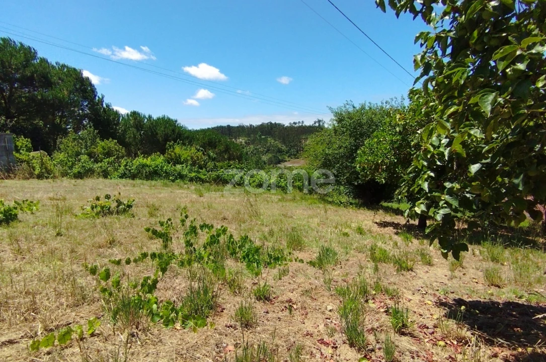 Terreno para Venda em Almagreira Foto 14