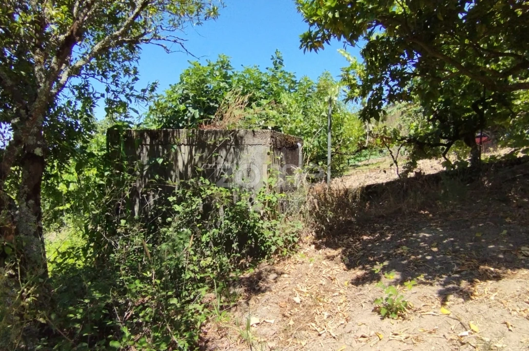 Terreno para Venda em Almagreira Foto 11
