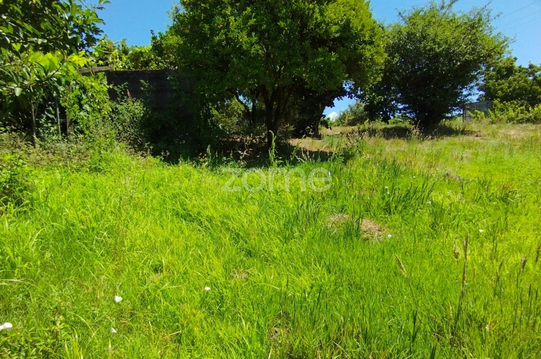 Terreno para Venda em Almagreira Foto 10