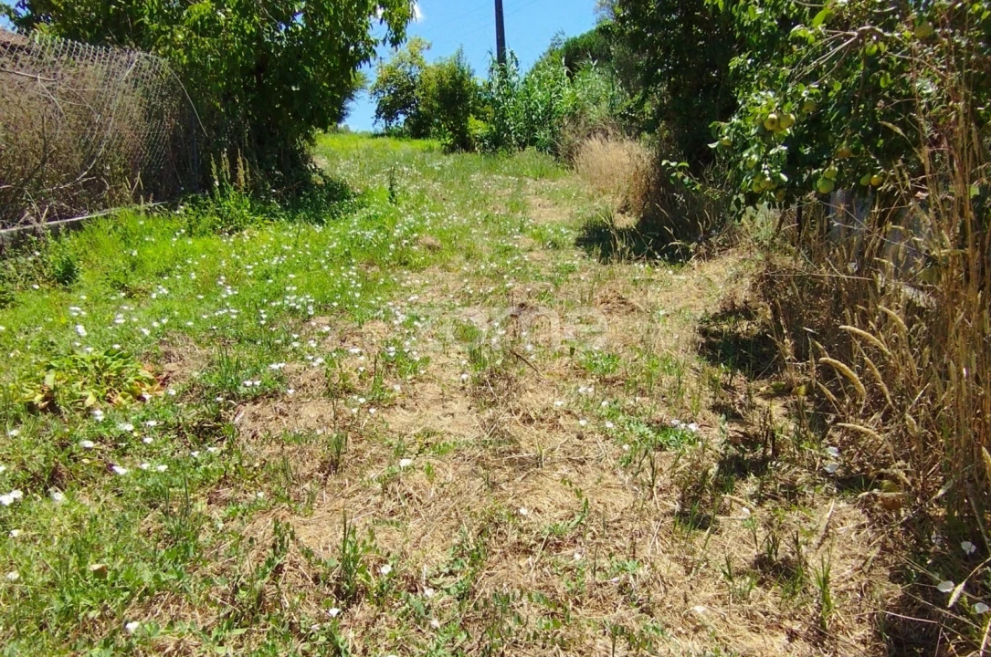 Terreno para Venda em Almagreira Foto 7