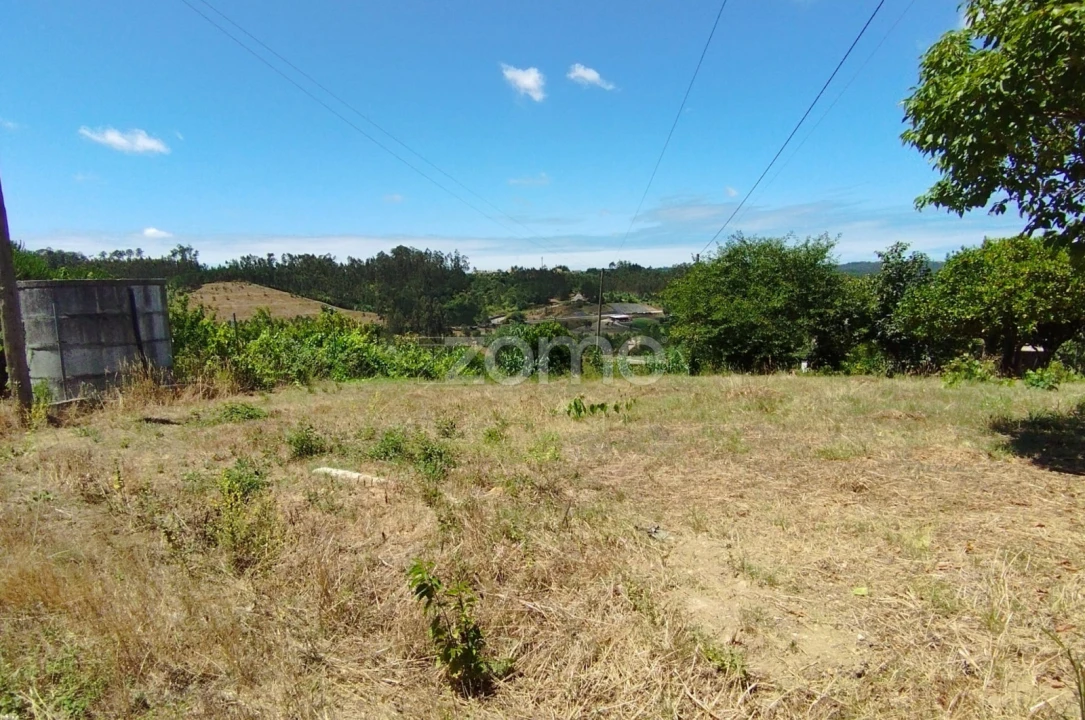 Terreno para Venda em Almagreira Foto 3