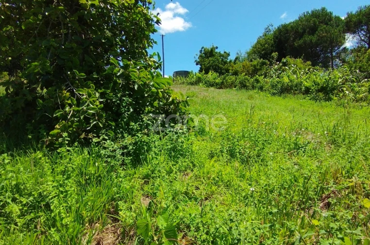 Terreno para Venda em Almagreira Foto 6