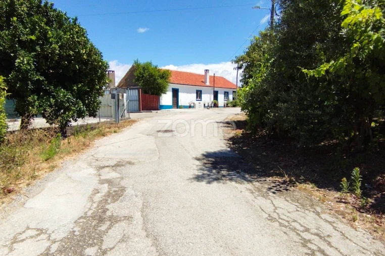 Terreno para Venda em Almagreira Foto 17