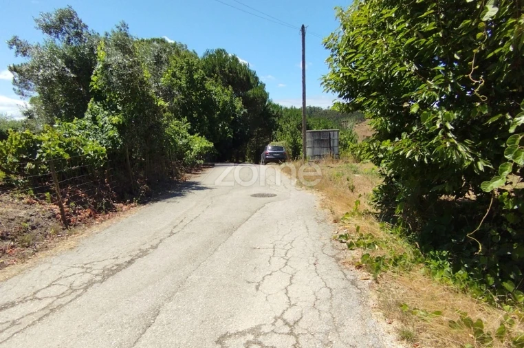 Terreno para Venda em Almagreira Foto 16