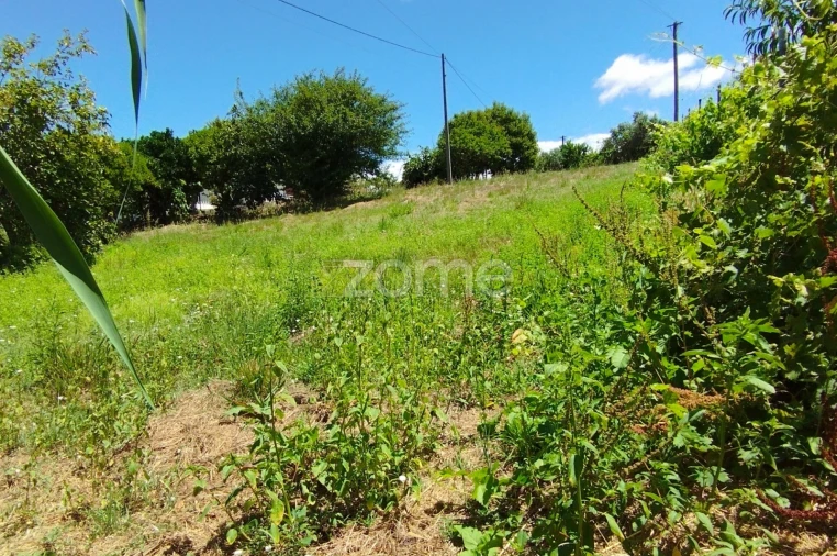 Terreno para Venda em Almagreira Foto 5