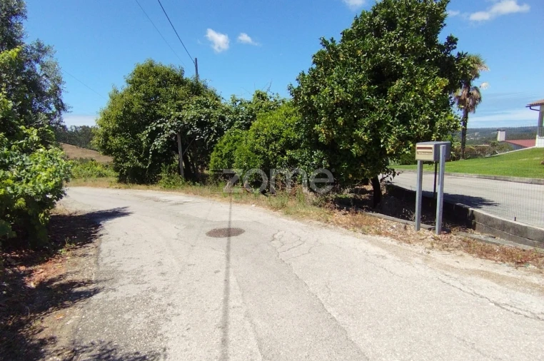 Terreno para Venda em Almagreira Foto 4