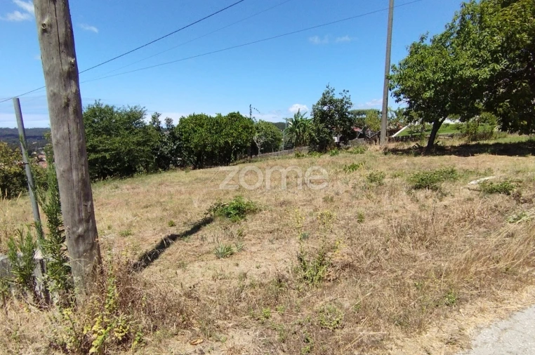 Terreno para Venda em Almagreira Foto 2
