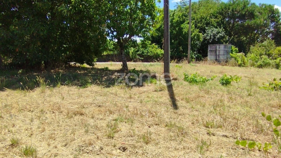 Terreno para Venda em Almagreira