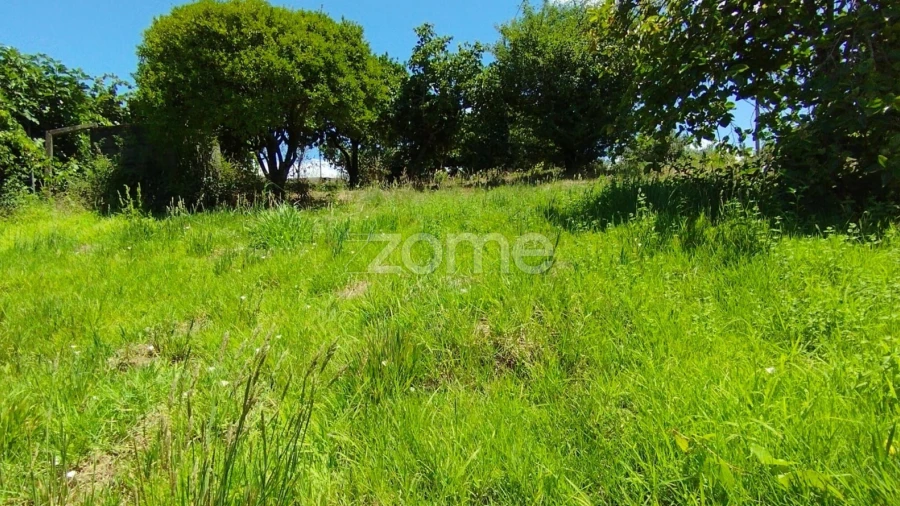 Terreno para Venda em Almagreira