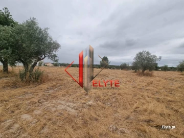 Terreno para Venda em Branca