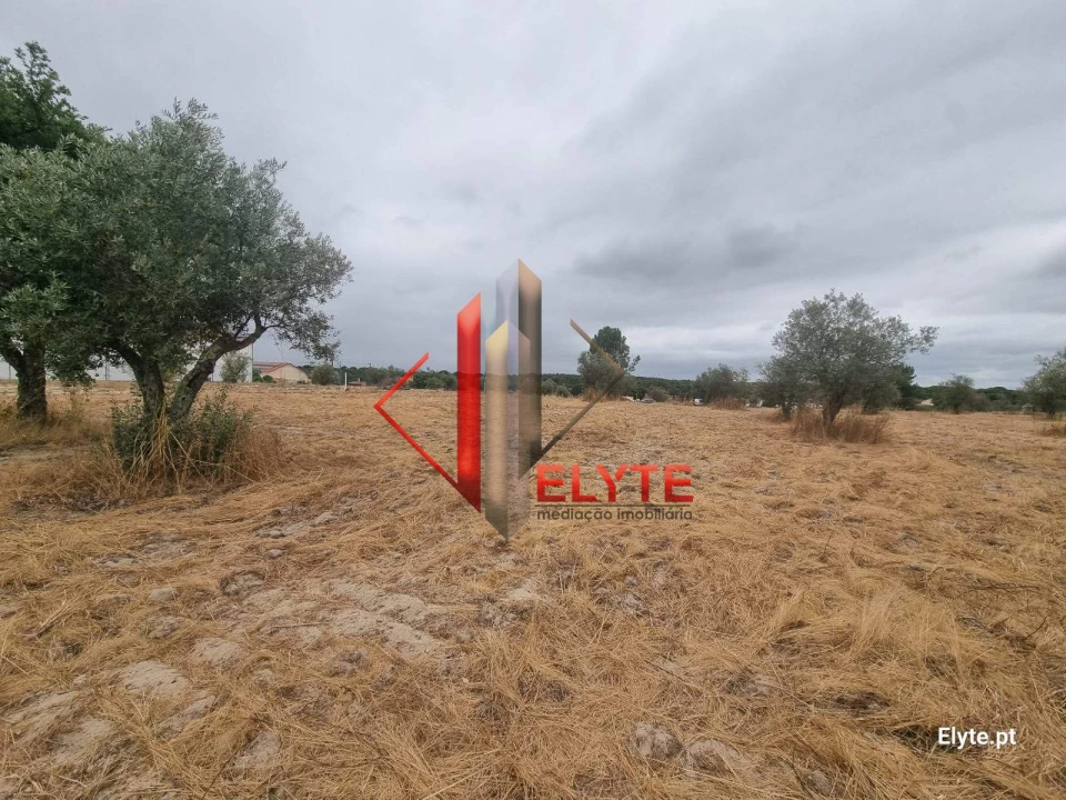 Terreno para Venda em Branca Foto 1