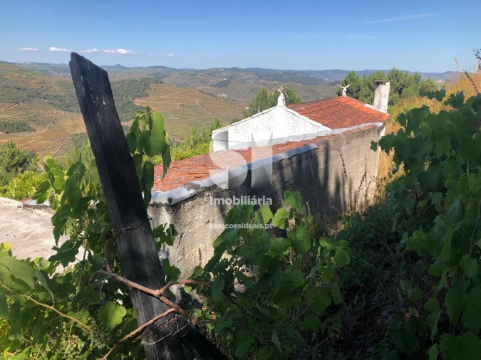 Quinta T4 para Venda em Provesende, Gouvães Douro, São Cristóvão Douro Foto 5
