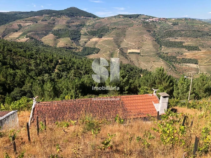 Quinta T4 para Venda em Provesende, Gouvães Douro, São Cristóvão Douro Foto 23
