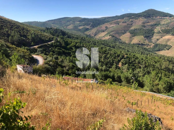 Quinta T4 para Venda em Provesende, Gouvães Douro, São Cristóvão Douro Foto 25