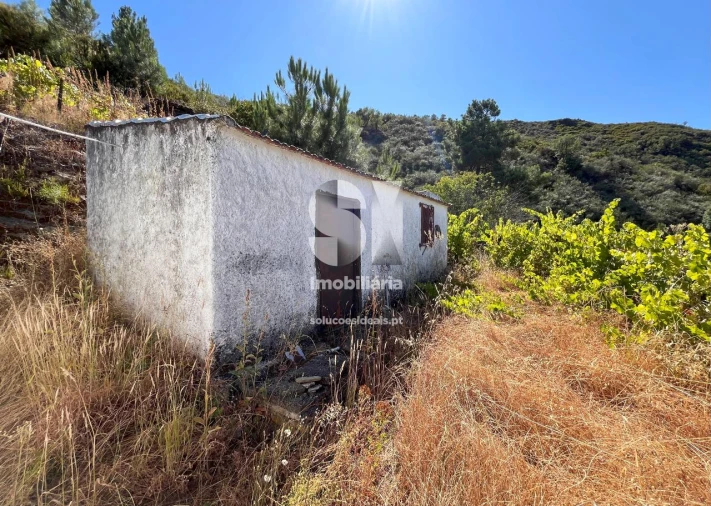 Quinta T4 para Venda em Provesende, Gouvães Douro, São Cristóvão Douro Foto 18