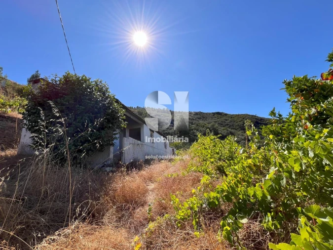 Quinta T4 para Venda em Provesende, Gouvães Douro, São Cristóvão Douro Foto 3