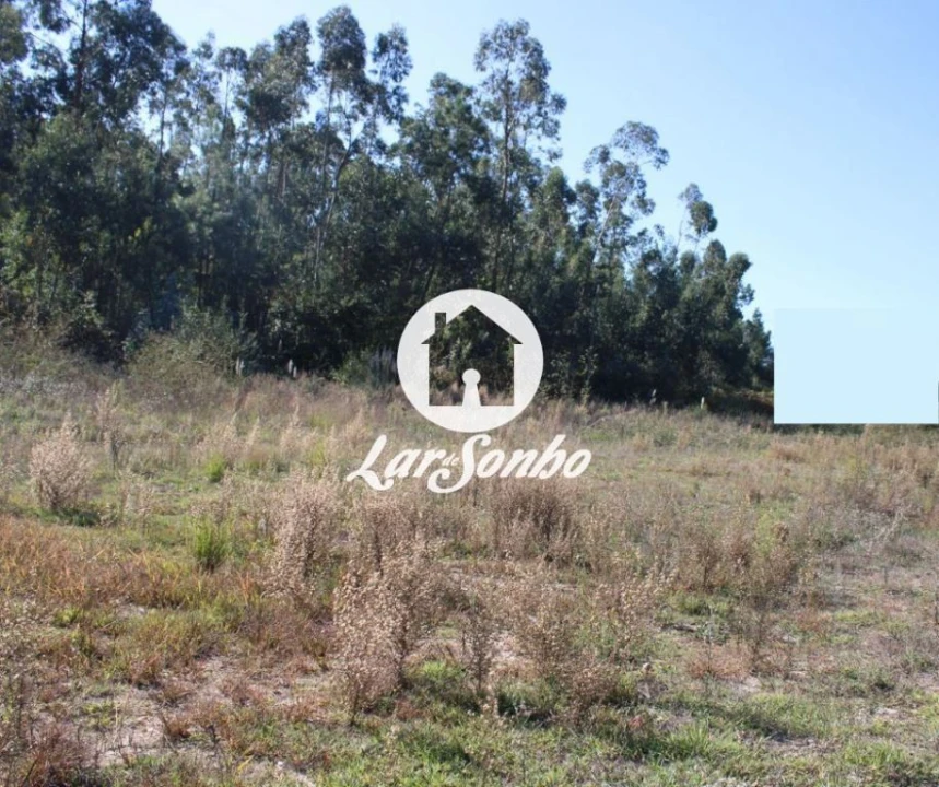 Terreno para Venda em Escariz (São Mamede) e Escariz (São Martinho) Foto 15