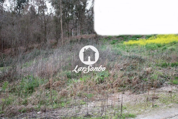 Terreno para Venda em Escariz (São Mamede) e Escariz (São Martinho) Foto 9