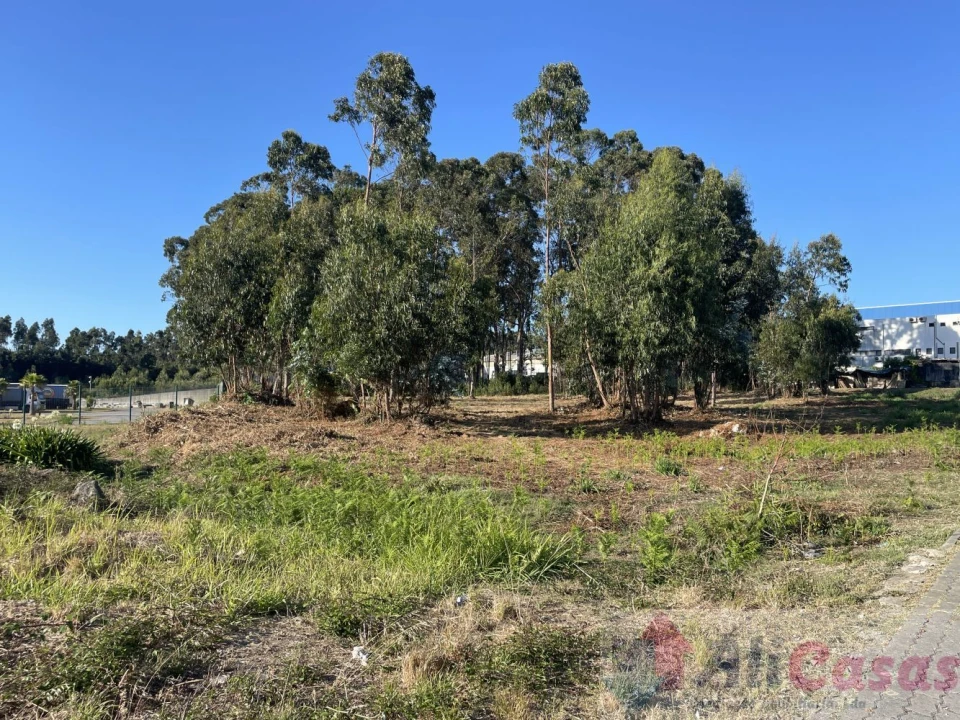 Terreno para Venda em Esmoriz Foto 12