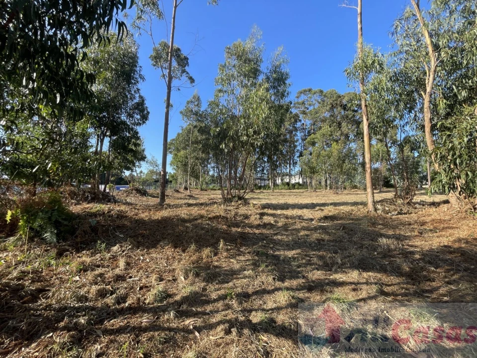 Terreno para Venda em Esmoriz Foto 25