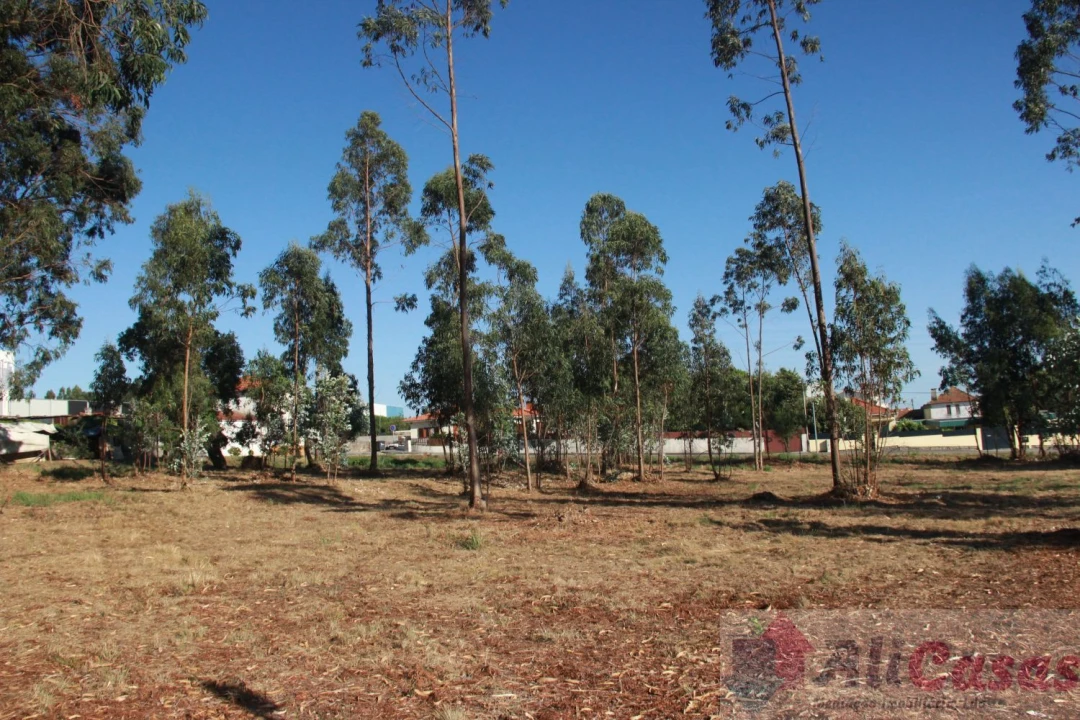 Terreno para Venda em Esmoriz Foto 17