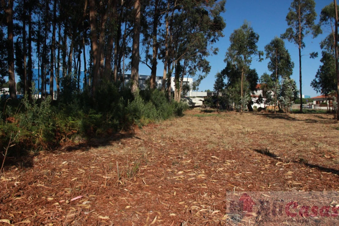 Terreno para Venda em Esmoriz Foto 19