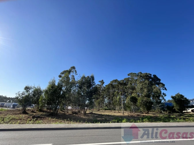 Terreno para Venda em Esmoriz Foto 6